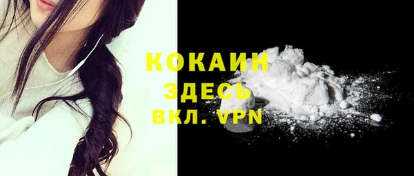 хмурый Вяземский