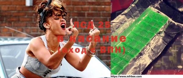 хмурый Вяземский