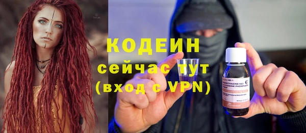 хмурый Вяземский