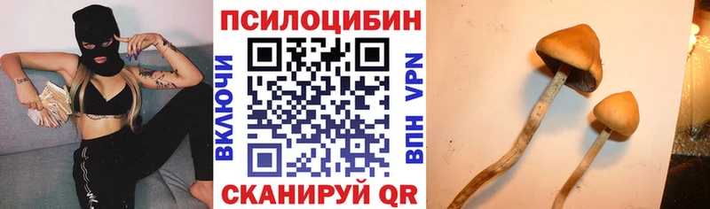 Псилоцибиновые грибы Psilocybine cubensis  как найти закладки  Серпухов 